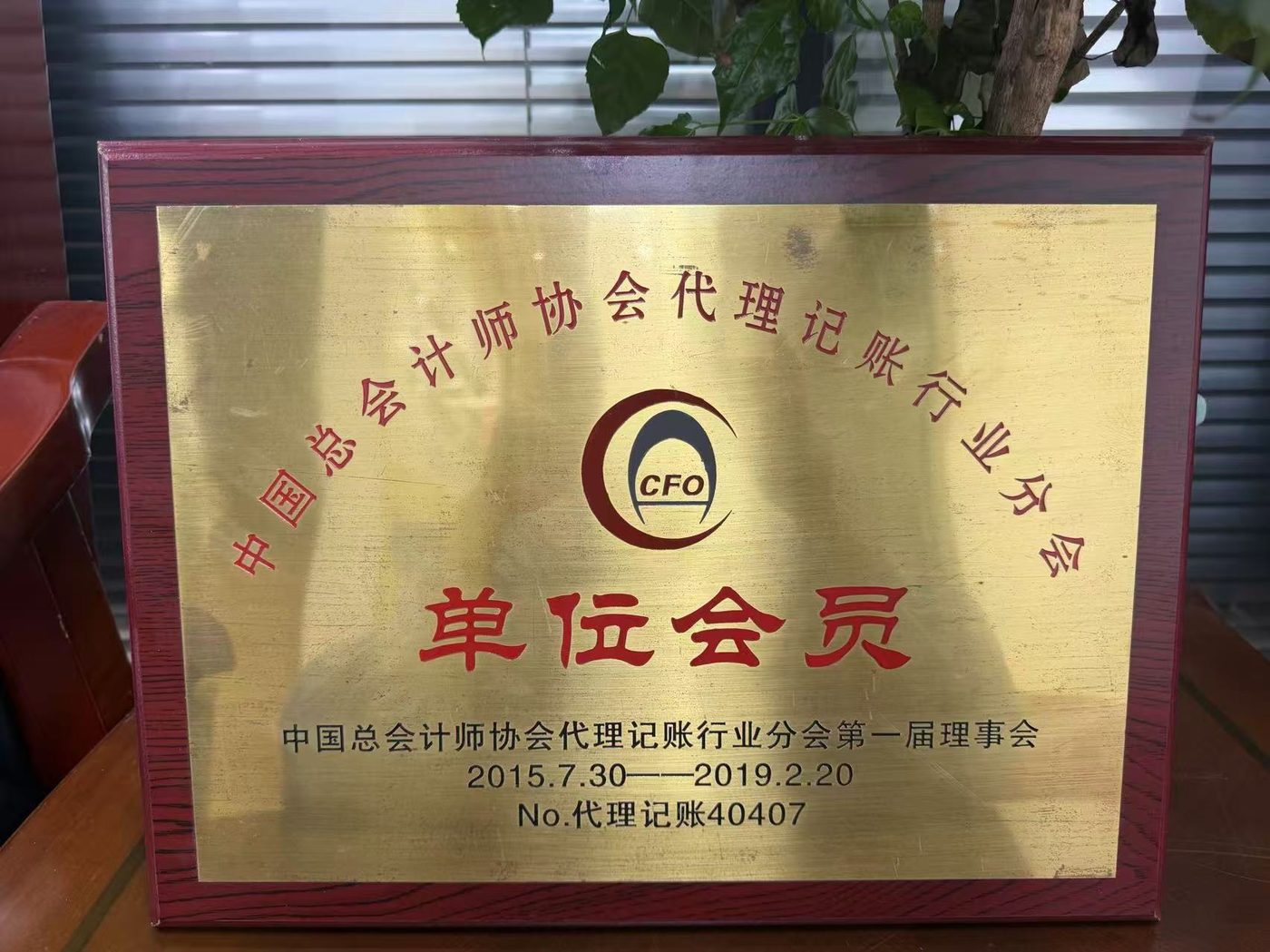 中国总会计师协会代理记账行业分会单位会员